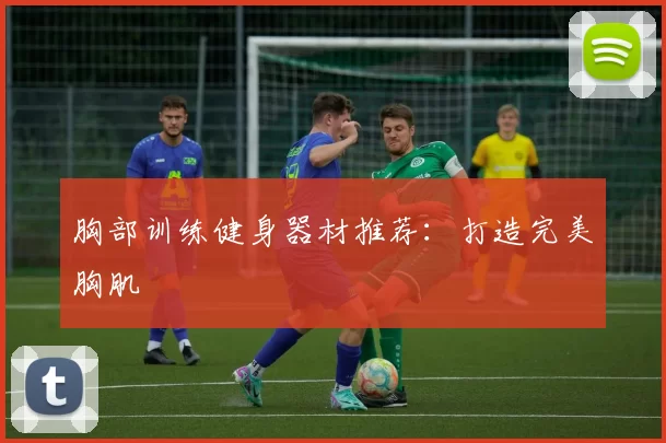 胸部训练健身器材推荐：打造完美胸肌