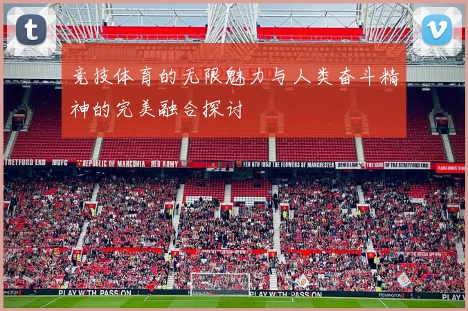 竞技体育的无限魅力与人类奋斗精神的完美融合探讨