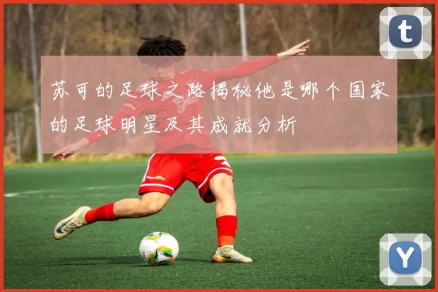 苏可的足球之路揭秘他是哪个国家的足球明星及其成就分析