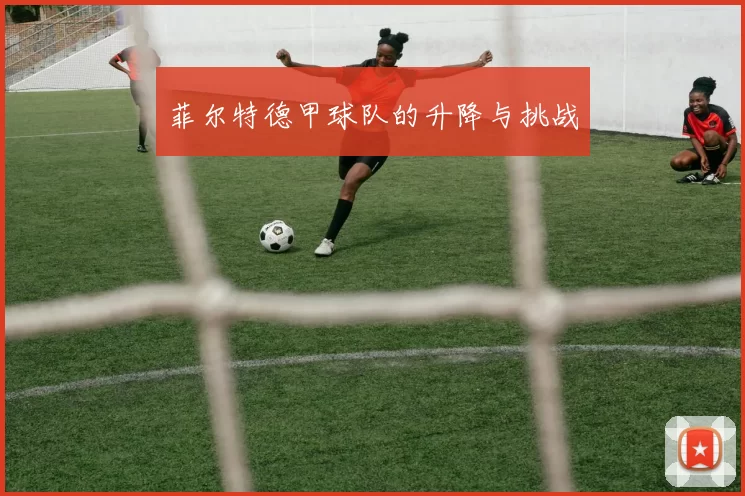 菲尔特德甲球队的升降与挑战