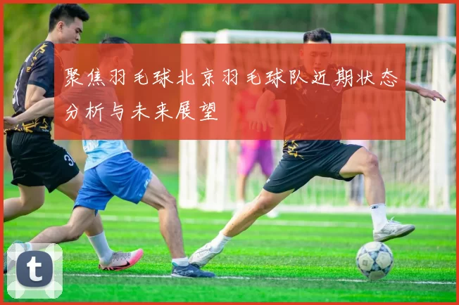 聚焦羽毛球北京羽毛球队近期状态分析与未来展望