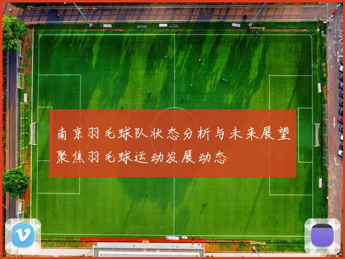 南京羽毛球队状态分析与未来展望聚焦羽毛球运动发展动态