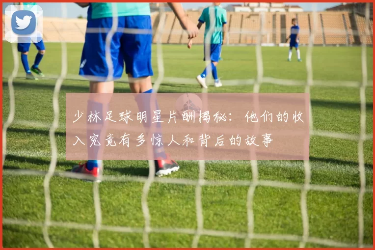 少林足球明星片酬揭秘：他们的收入究竟有多惊人和背后的故事