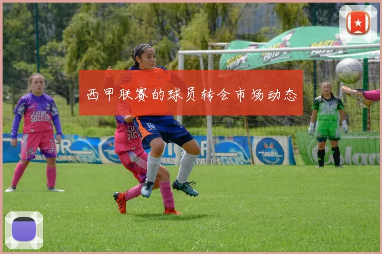 西甲联赛的球员转会市场动态