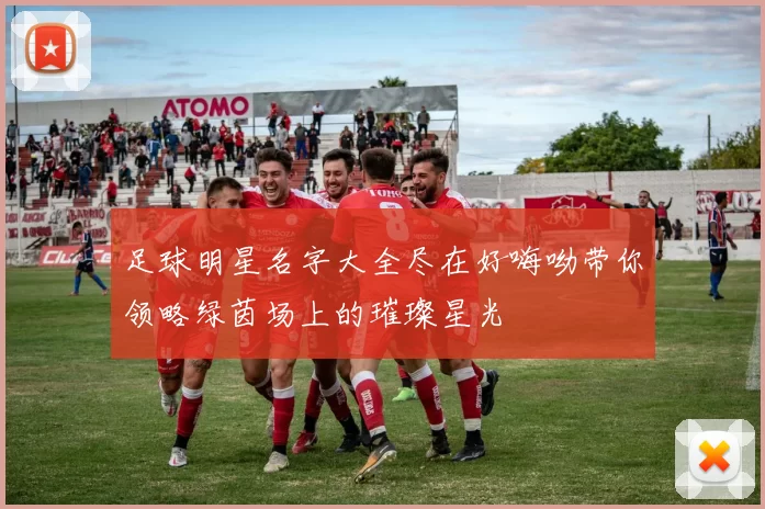 足球明星名字大全尽在好嗨呦带你领略绿茵场上的璀璨星光