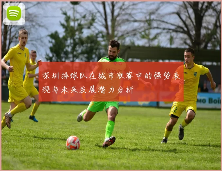 深圳排球队在城市联赛中的强势表现与未来发展潜力分析