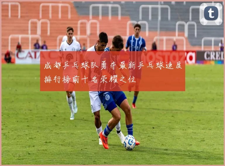 成都乒乓球队勇夺最新乒乓球速度排行榜前十名荣耀之位