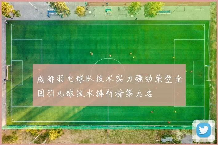成都羽毛球队技术实力强劲荣登全国羽毛球技术排行榜第九名