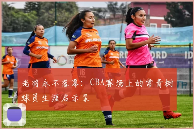 老将永不落幕：CBA赛场上的常青树球员生涯启示录