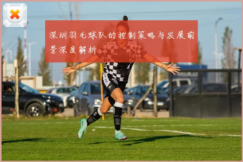 深圳羽毛球队的控制策略与发展前景深度解析