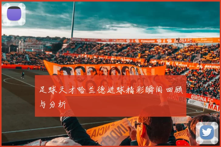 足球天才哈兰德进球精彩瞬间回顾与分析