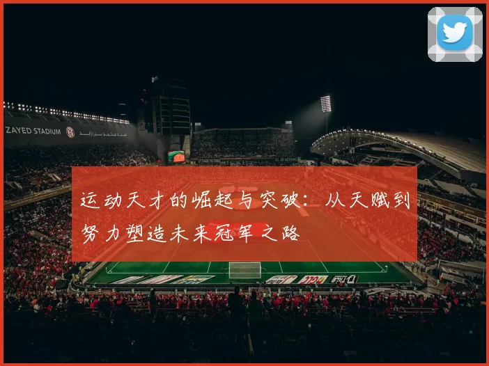 运动天才的崛起与突破：从天赋到努力塑造未来冠军之路