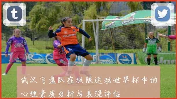 武汉飞盘队在极限运动世界杯中的心理素质分析与表现评估