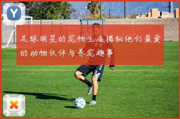 足球明星的宠物生活揭秘他们最爱的动物伙伴与养宠趣事