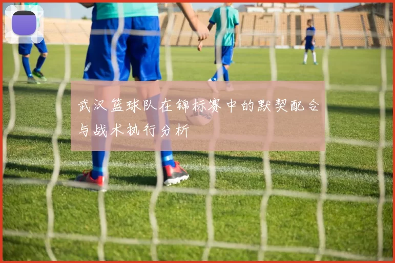 武汉篮球队在锦标赛中的默契配合与战术执行分析