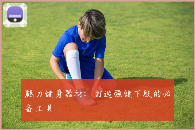 腿力健身器材：打造强健下肢的必备工具