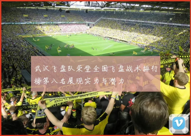 武汉飞盘队荣登全国飞盘战术排行榜第八名展现实力与潜力