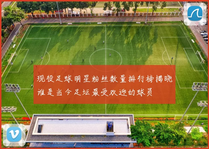 现役足球明星粉丝数量排行榜揭晓谁是当今足坛最受欢迎的球员