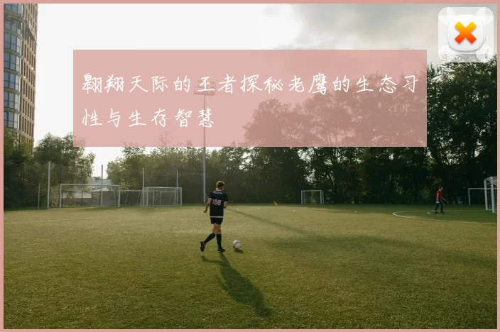 翱翔天际的王者探秘老鹰的生态习性与生存智慧