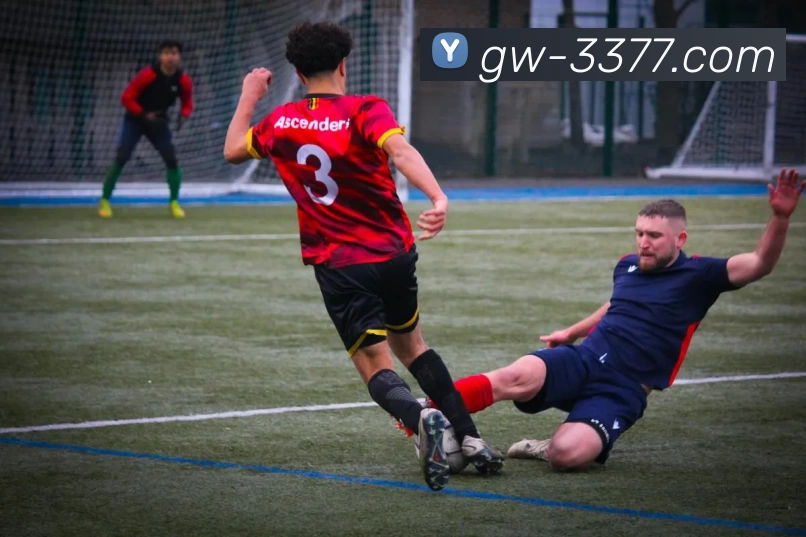 333体育发展历程